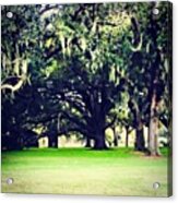 Audubon Golf Course What A Beautiful Acrylic Print