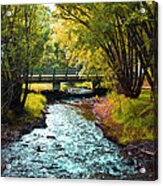 Autum Colour Acrylic Print