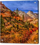 Autumn Arroyo Acrylic Print