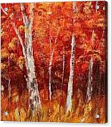 Autumn Birch Wood Acrylic Print