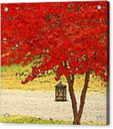 Autumn By The Road Acrylic Print