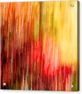 Autumn Colors In Abstract Acrylic Print