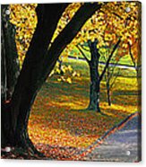 Autumn Colours Acrylic Print