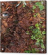 Autumn Dryad Forest Floor Acrylic Print