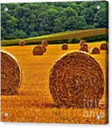 Autumn Hay Bales Acrylic Print