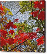 Autumn Lake Acrylic Print