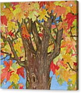 Autumn Leaves  First Acrylic Print