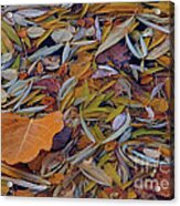 Autumn Palette Acrylic Print