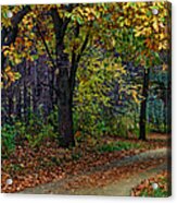 Autumn Path Acrylic Print