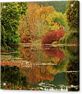 Autumn Pond Acrylic Print