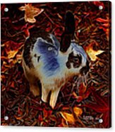 Autumn Rabbit 5010 - James Ahn Acrylic Print