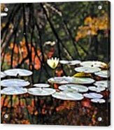 Autumn Reflection Acrylic Print