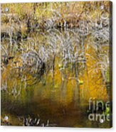 Autumn Reflection Pool Acrylic Print