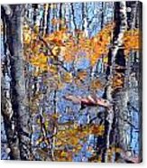 Autumn Reflection With Leaf Acrylic Print