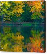 Autumn Reflections Acrylic Print