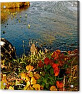 Autumn River Acrylic Print
