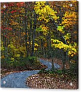 Autumn Road Acrylic Print