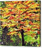 Autumn Splendor Acrylic Print