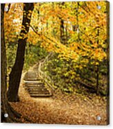 Autumn Stairs Acrylic Print