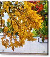 Autumn Street Scene Acrylic Print