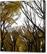 Autumn Trees Panoramic Acrylic Print