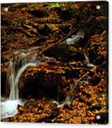 Autumn Washed Away Acrylic Print