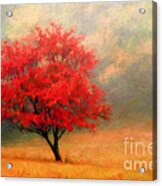 Autumns Colors Acrylic Print