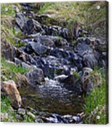 Babbling Brook Acrylic Print