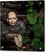 Babe In The Woods Acrylic Print