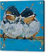 Baby Birds - Fledglings Acrylic Print