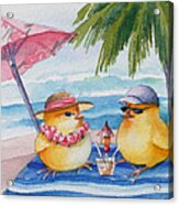 Baby Chicks On Waikiki Beach Acrylic Print