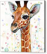Baby Giraffe Watercolor Acrylic Print