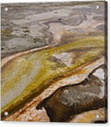 Bacterial Mats In Yellowstone Np Acrylic Print