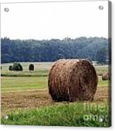 Bales In Solebury Acrylic Print