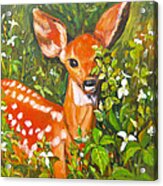 Bambi Acrylic Print