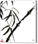 Bamboo Japanese Chinese Sumi-e Suibokuga Tree Watercolor Original Ink Painting Acrylic Print