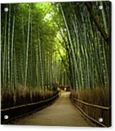 Bamboo Path Near Arashiyama Region Acrylic Print