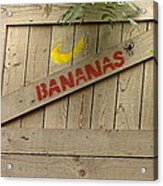 Bananas Acrylic Print