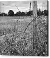 Barbed Wire Tangle In Black And White Acrylic Print