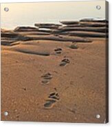 Barefoot In Sand Acrylic Print