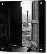 Barn Door - View From Within - Old Barn Picture Acrylic Print