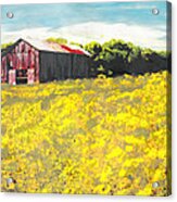 Barn Yellow Spring Fields Maryland Landscape Fine Art Painting Acrylic Print