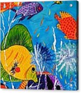 Barrier Reef Fish Acrylic Print