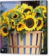 Basket Of Sunshine Acrylic Print