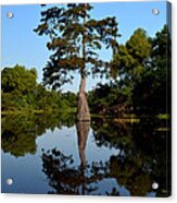 Southern Louisiana Bayou Reflections Acrylic Print
