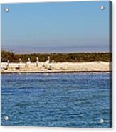 Beach Birds Acrylic Print