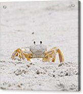 Beach Guard Acrylic Print