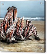 Beach Monster 2 - Outer Banks Acrylic Print