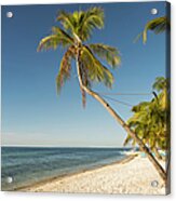 Beach On Malapasqua, Philippines Acrylic Print