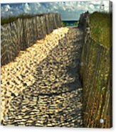 Beach Path Acrylic Print